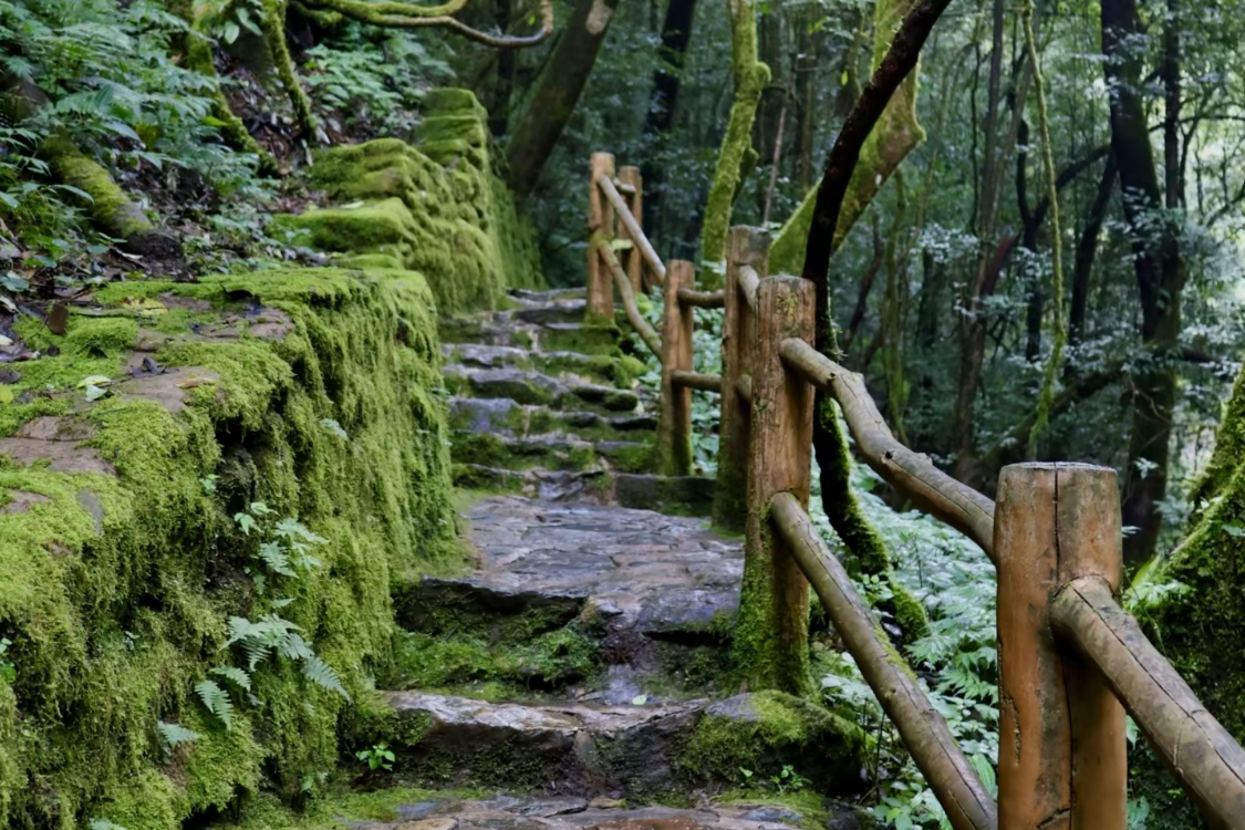 Ailao Mountain